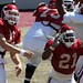 Michael Robinson Photo 15