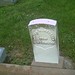 Joseph Metcalf Photo 12