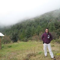 Alan Tobias Photo 18