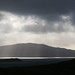 Ray Harris Photo 16
