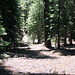 Heather Walden Photo 11