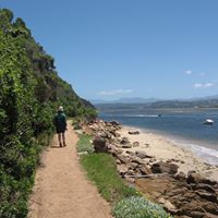 Ann Neill Photo 10