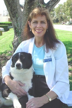 Susan Evans Photo 38
