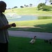 Gerald Ridge Photo 18