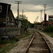 Ann Downs Photo 22