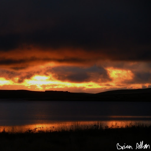 Brian Allan Photo 38