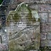Thomas Fleming Photo 16