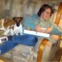 Ann Powers Photo 3