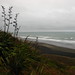 Doreen Simons Photo 7