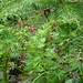 Michael Ash Photo 16