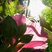 Sharon Ray Photo 40