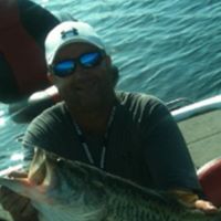Ray Elliott Photo 39