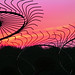 Lori Funk Photo 27