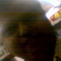 Nitinkumar Patel Photo 8