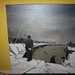 Qing Wang Photo 23