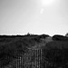 Joseph Burkhart Photo 7