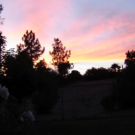 James Musgrove Photo 25