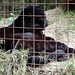Deborah Barr Photo 8