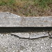 John Caldwell Photo 28