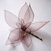 Joy Dore Photo 12