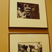 Janet Barker Photo 21