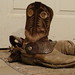 Matt Trask Photo 24