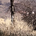 Kathleen Stringer Photo 15