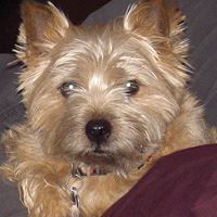Julie Rawlins Photo 3