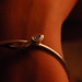 Lisa Volpe Photo 16