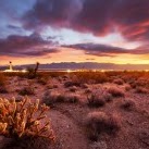 Suzanne Jimenez Photo 30