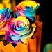 Ester Flores Photo 45
