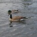 Eugene Hansen Photo 24
