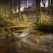 Bob Dunlop Photo 9
