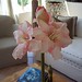 Brenda Stuart Photo 24