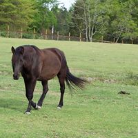 Teresa Kerns Photo 6