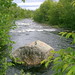 Mary Branch Photo 8