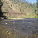 Rodger Ferguson Photo 13