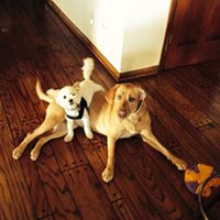 Susan Rose Photo 47