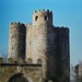 Castillo Martin Photo 15