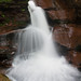 Sean Ricketts Photo 35