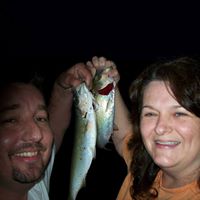 Paul Perdue Photo 14