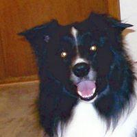 Janice Becker Photo 6