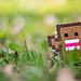 Kun You Photo 10