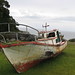 Barbara Cala Photo 6