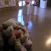 Julie Bradshaw Photo 13