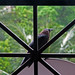 Lynn Crow Photo 17