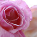 Gail Rose Photo 36