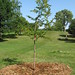 Tim Elms Photo 11