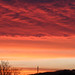 Robert Matson Photo 10