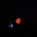 Christy Moore Photo 10